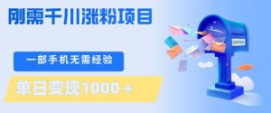 刚需千川涨粉项目，一部手机无需技术，单日变现1k+，当天做当天见收益【揭秘】-21资源库