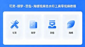 可灵–即梦–豆包–海螺视频去水印工具带视频教程-21资源库