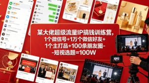某大佬超级流量IP搞钱训练营，1个微信号+1万个微信好友+1个主打品+100条朋友圈-短视选题=100W-21资源库