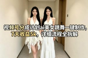 视频号分成计划ai美女跳舞一键制作，7天收益5k，详细流程全拆解-21资源库