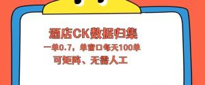 上班也能玩的酒店CK数据归集，一单0.7单窗口每天可做100单，一个人就能矩阵操作【揭秘】-21资源库