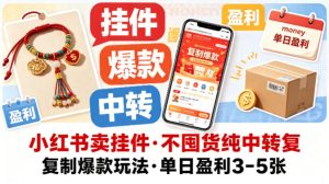 小红书卖挂件，不囤货纯中转复制爆款玩法，单日盈利3-5张-21资源库