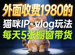 宠物赛道猫咪IP-vlog玩法，26条视频涨粉29W，每天5张橱窗带货拆解-21资源库