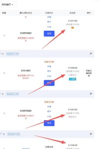 【超强副业】淘宝超高价女装项目：1单賺1k+，可工作室放大（共52节）-21资源库