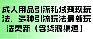 成人用品引流私域变现玩法，多种引流玩法最新玩法，操作简单（含货源渠道）-21资源库