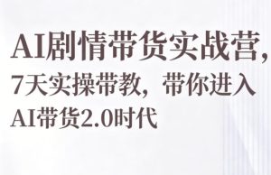 AI剧情带货实战营，7天实操带教，带你进入AI带货2.0时代-21资源库