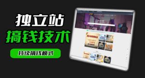 干货来袭!麦子甜带你吃透独立站|从搭建到引流一站式教学《独立站》第一期-21资源库