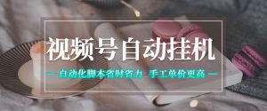 视频号自动挂G项目,自动化脚本省时省力,手工单价更高,日入300+全网最稳【揭秘】-21资源库
