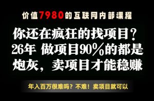 26年请不要疯狂的找项目了，卖项目远比你想象的暴利，你也可以月入10W+【揭秘】-21资源库