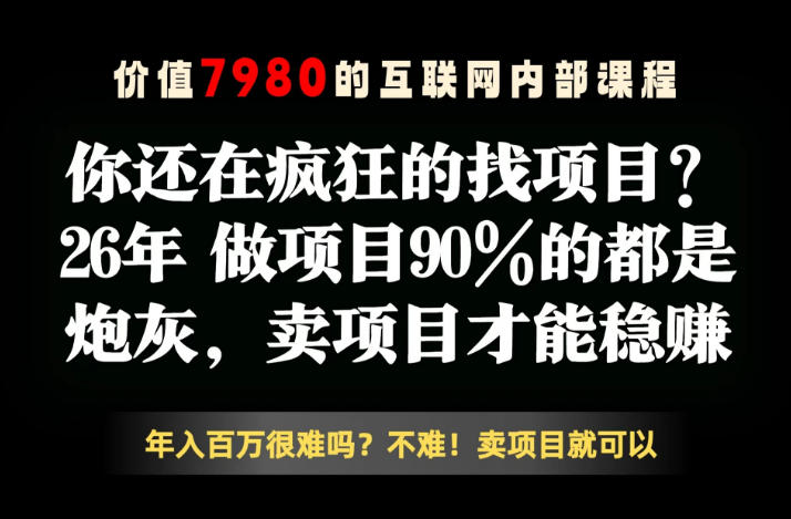 26年请不要疯狂的找项目了，卖项目远比你想象的暴利，你也可以月入10W+【揭秘】-21资源库