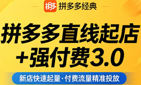 拼多多直线起店+强付费3.0，教你稳定起店、高效控投产、破解流量瓶颈（更新4月）-21资源库