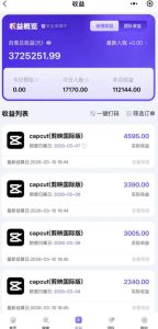海外TikTok剪映cupcut拉新，市场广阔，潜力巨大，月入1w+，适合TK创作者的新机会-21资源库