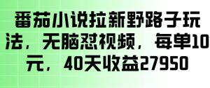 番茄小说拉新野路子玩法，无脑怼视频，玩法简单、见效快，每单10米，40天收益27950-21资源库