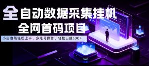 全自动数据采集挂G，全网首码项目，简单易操作，小白也能轻松上手，多账号操作，轻松日入500+【揭秘】-21资源库