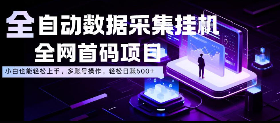 全自动数据采集挂G，全网首码项目，简单易操作，小白也能轻松上手，多账号操作，轻松日入500+【揭秘】-21资源库