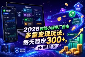 2026微信小程序广告主，多重变现玩法，每天稳定300+，长期稳定【揭秘】-21资源库