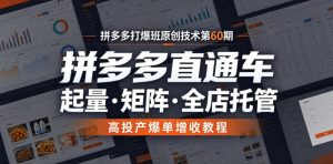 拼多多打爆班原创技术第60期,拼多多直通车,起量・矩阵・全店托管,高投产爆单增收教程-21资源库
