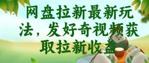 网盘拉新最新玩法，发好奇视频获取拉新收益，抖音收藏家玩法-21资源库