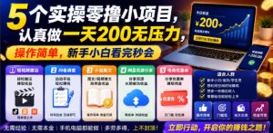 5个实操零撸小项目，认真做一天200无压力，操作简单，新手小白看完秒会【揭秘】-21资源库