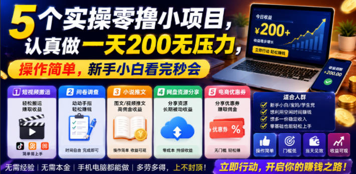 5个实操零撸小项目，认真做一天200无压力，操作简单，新手小白看完秒会【揭秘】-21资源库
