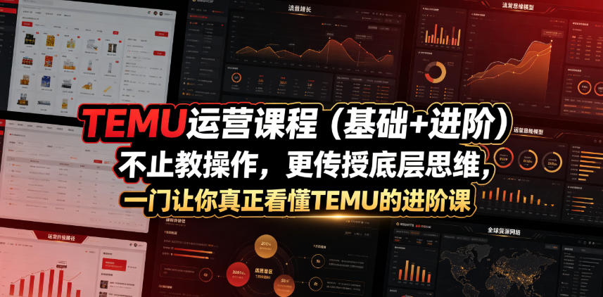 TEMU运营课程（基础+进阶），不止教操作，更传授底层思维，一门让你真正看懂TEMU的进阶课-21资源库