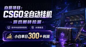 自营项目：CSGO全自动挂G，游戏搬砖捡漏，软件科技简单易用，长期稳定，小白单日300+利润【揭秘】-21资源库