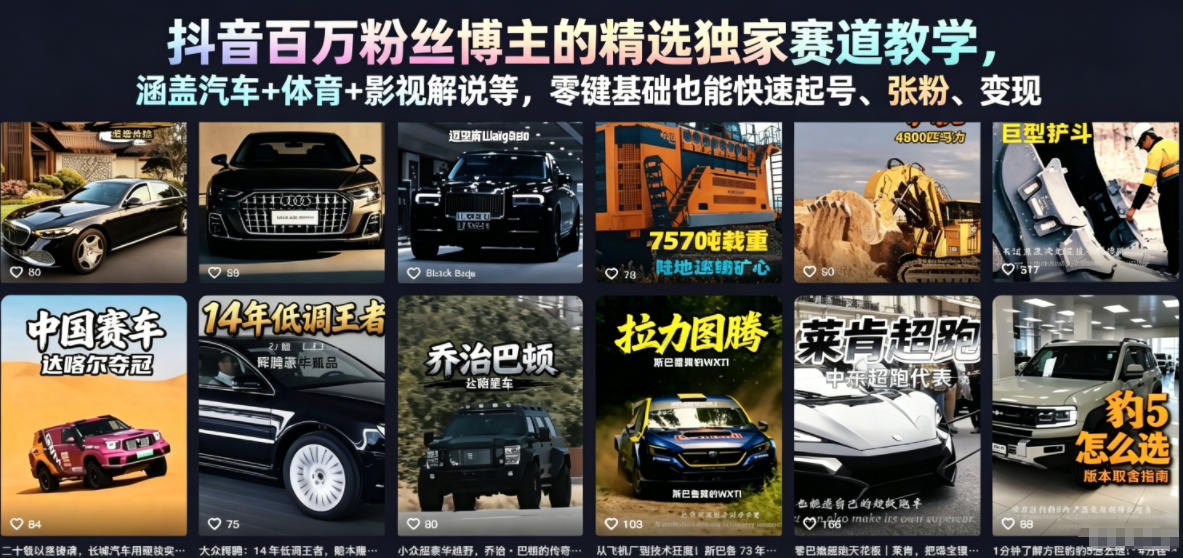 抖音百万粉丝博主的精选独家赛道教学，涵盖汽车+体育+影视解说等，零基础也能快速起号、涨粉、变现-21资源库