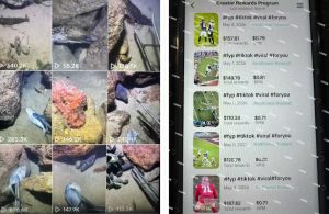 Tiktok中视频解说教程,体育+温情文案双赛道实操教程一站式带你落地,教你出海賺美刀-21资源库