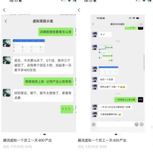 薅流虚拟2.0陪跑课，0成本AI流程化操作，淘宝+闲鱼同步玩法，上一次货两个平台有收益，单店每天200纯利润-21资源库