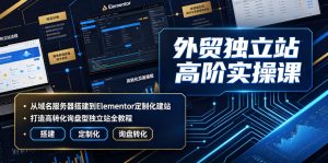 外贸独立站高阶实操课｜从域名服务器搭建到Elementor定制化建站，打造高转化询盘型独立站全教程-21资源库