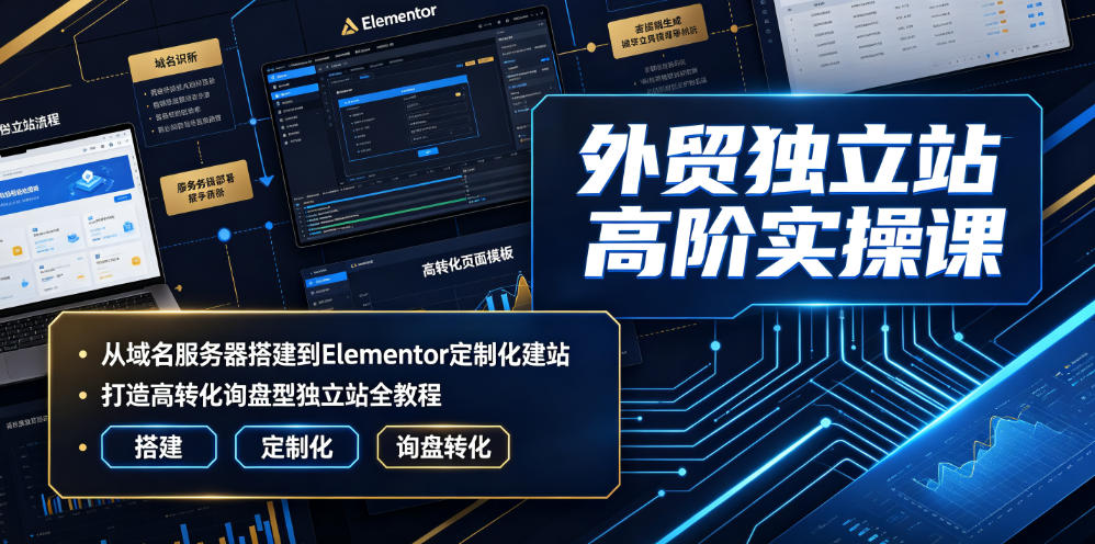外贸独立站高阶实操课｜从域名服务器搭建到Elementor定制化建站，打造高转化询盘型独立站全教程-21资源库