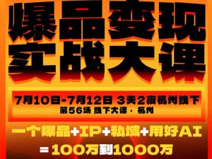 爆品变现实战大课,从爆品,到流量,到成交,一个爆品+IP+私域+用好AI=100W到1000W(7月10-12日)-21资源库
