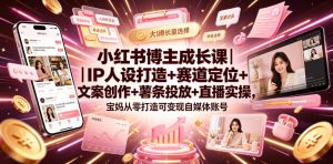 小红书博主成长课｜IP人设打造+赛道定位+文案创作+薯条投放+直播实操，宝妈从零打造可变现自媒体账号-21资源库
