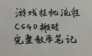 游戏挂G全流程笔记分享，CSGO游戏搬砖，小白看了当天学会见收益【揭秘】-21资源库