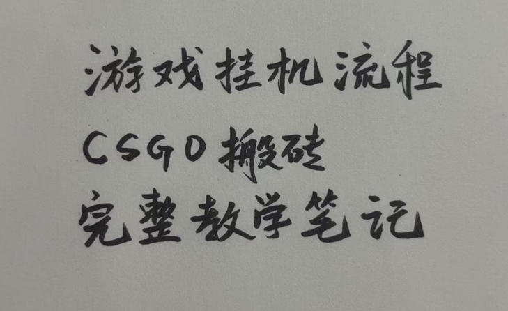 游戏挂G全流程笔记分享，CSGO游戏搬砖，小白看了当天学会见收益【揭秘】-21资源库