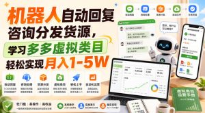机器人自动回复咨询分发货源，学习多多虚拟类目轻松实现月入1-5W【揭秘】-21资源库