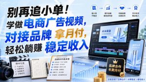 别再追小单！学做电商广告视频，对接品牌拿月付，轻松躺賺稳定收入【原创双语字幕】-21资源库