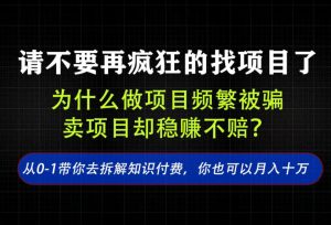 找项目？别傻了！卖项目才是真的一本万利！看完你全都懂了【揭秘】-21资源库