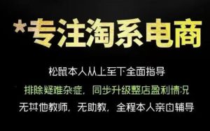 松鼠会电商VIP课程,从基础布局到高阶优化,助你掌握淘宝运营逻辑,提升店铺流量与转化(更新0823)-21资源库