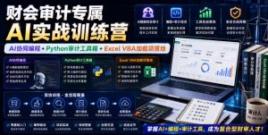 财会审计专属AI实战训练营｜AI协同编程+Python审计工具箱+Excel VBA加载项落地（更新0816）-21资源库