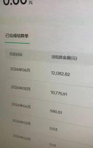 汽水音乐人项目，暴力自然流打法，不需要你会唱歌、会写歌，用AI生成上传，靠自然流賺播放收益-21资源库