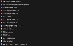 TikTok从0-1实操资料包：养号SOP+爆款公式+投流手册，新手30天可起号变现，抓住TikTok流量红利-21资源库