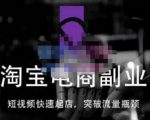 蓝Sir派·淘宝短视频快速起店，替代传统搜索方式，学会做一个不一样的淘宝店-21资源库