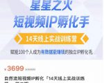 瑶瑶·自然流短视频IP孵化第二期,14天线上实战训练营,赋能100个人成为有数据能赚钱的独立IP孵化手-21资源库