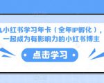 厦九九小红书学习年卡(全年IP孵化),沉浸式学习,一起成为有影响力的小红书博主-21资源库