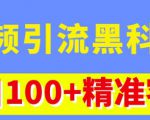 视频引流黑科技玩法，不花钱推广，视频播放量达到100万+，每日100+精准客源-21资源库