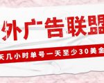 外面收费1980的最新国外LEAD广告联盟搬砖项目，单号一天至少30美金【详细玩法教程】-21资源库