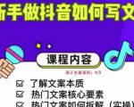新手做抖音如何写文案,手把手实操如何拆解热门文案-21资源库
