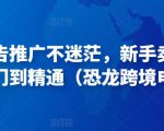 亚马逊广告推广不迷茫，新手卖家产品运营入门到精通（恐龙跨境电商）-21资源库