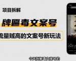 2023抖音快手毒文案新玩法，牌匾文案号，起号快易变现-21资源库